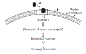 Chemical Coordination and Integration Figure-Based Questions for NEET