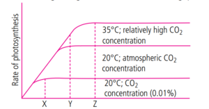 Photosynthesis in Higher Plants Figure-Based Questions for NEET
