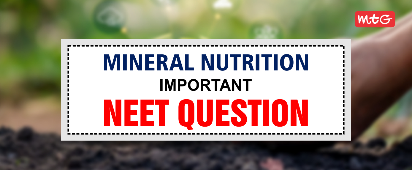 Mineral Nutrition NEET Questions and Answers MTG Blog